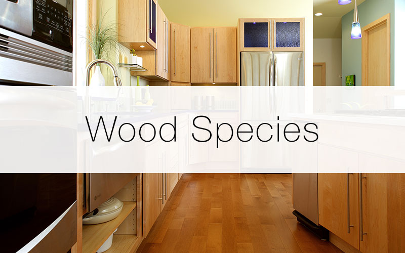 Showplace Cabinets: Wood Species